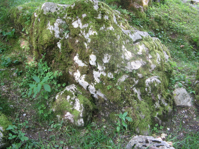 f:id:Picmoch:20160705141938j:image:w360:right