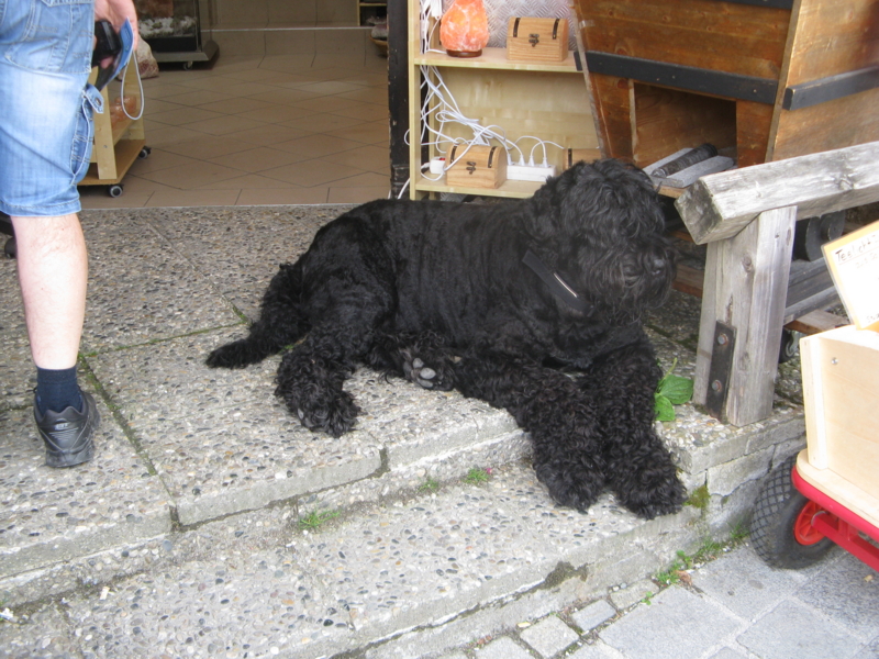 f:id:Picmoch:20160705153400j:image:w360:right