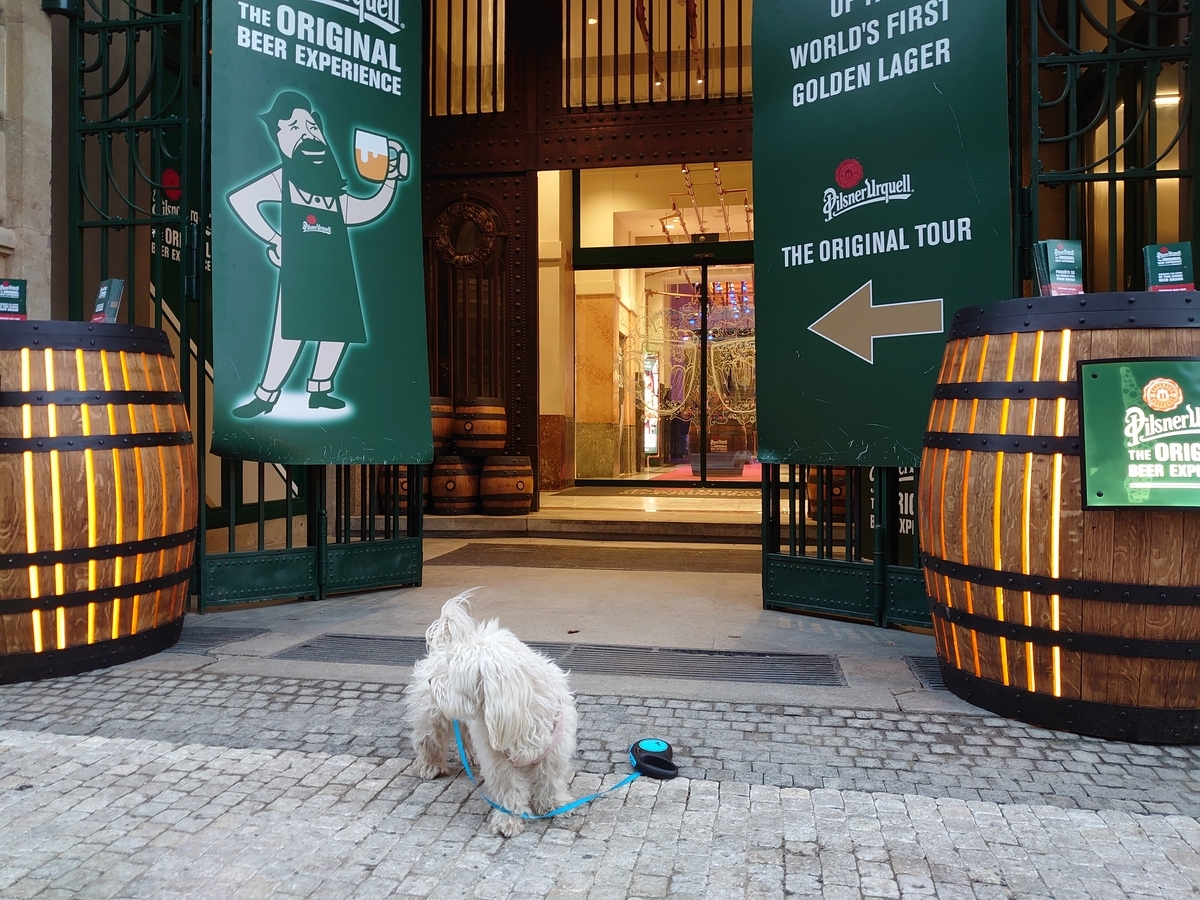 ピルスナー・ウルケル：プラハのオリジナルのビール体験 - チェコの情報