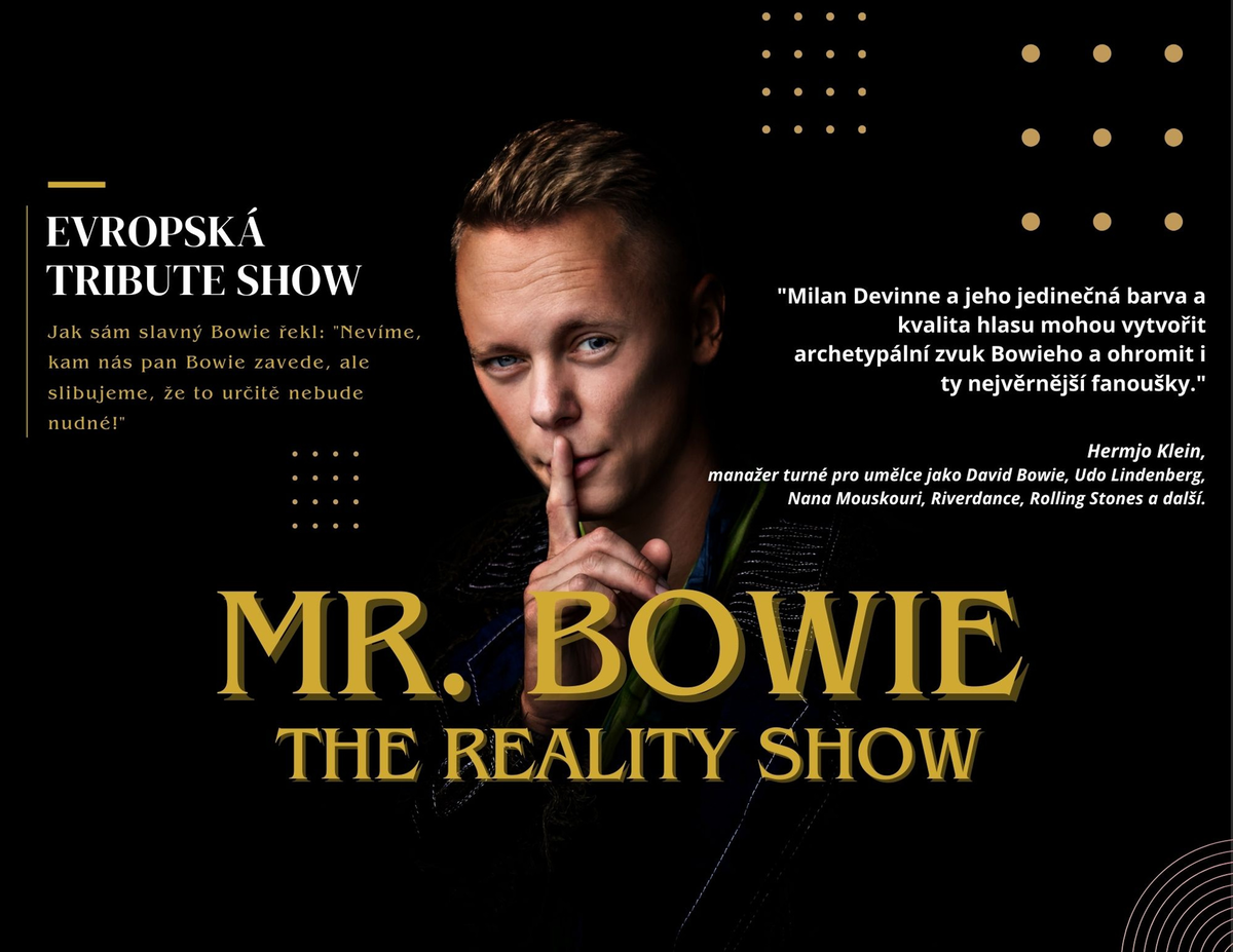 David Bowie デヴィッドボウイ / Reality Tour