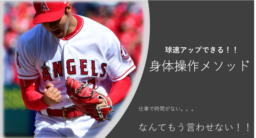 f:id:Piece17bb:20201204212847j:image