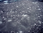 f:id:Pig-Cow2007:20080302030304j:image f:id:Pig-Cow2007:20080302030304j:image