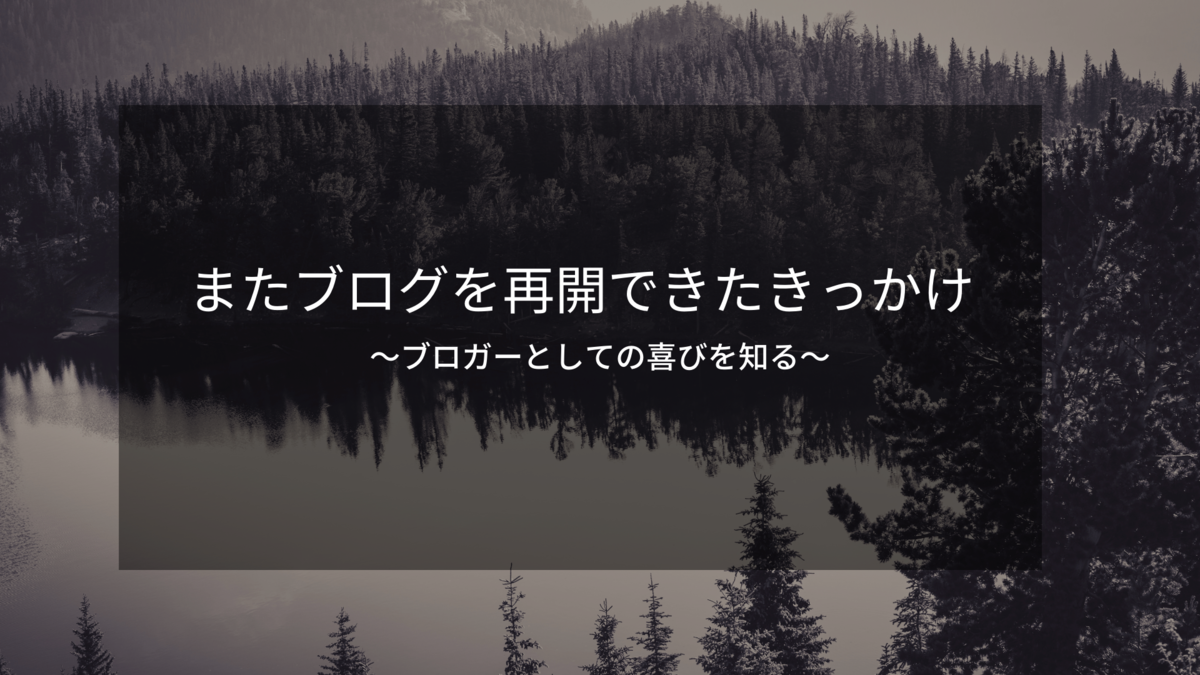 f:id:Piimanblog:20201129151945p:plain