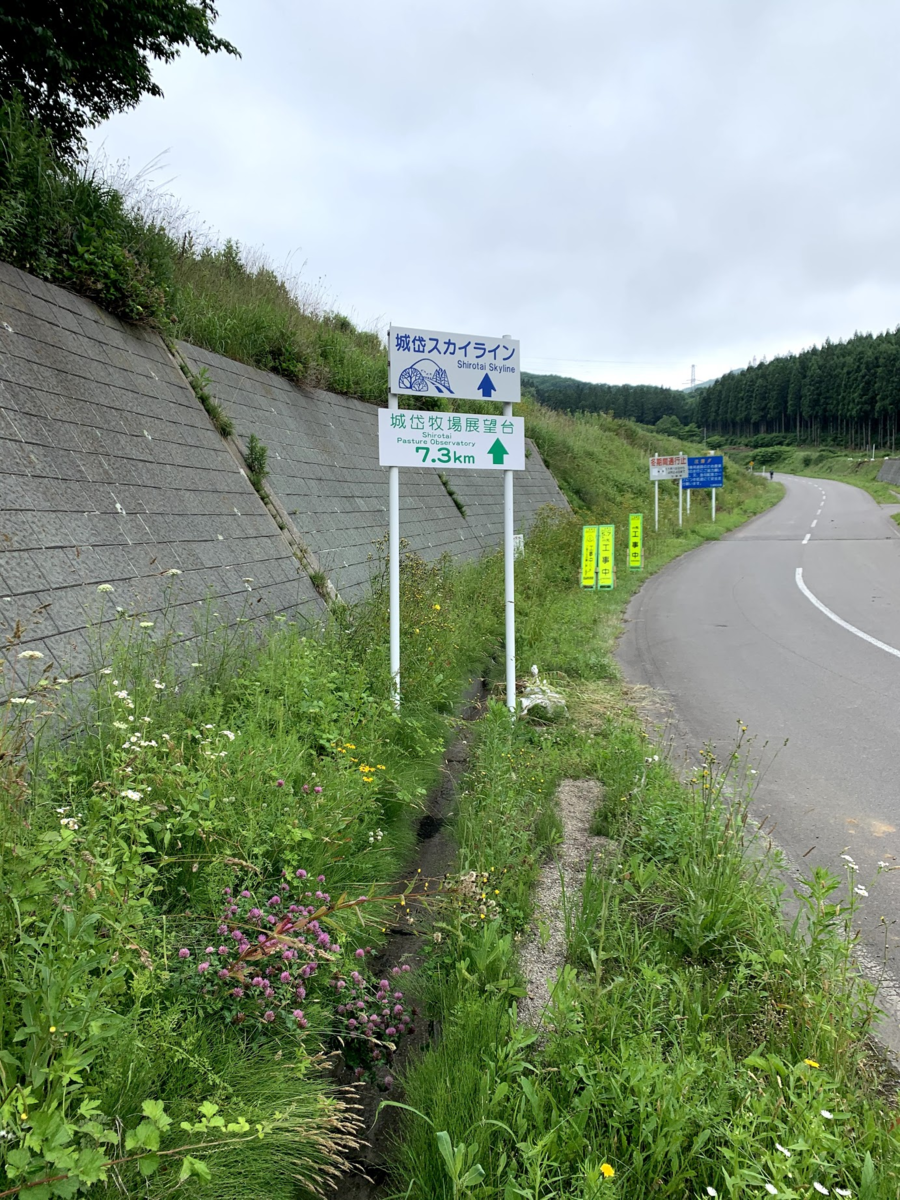 f:id:PikaCycling:20200728225655p:plain