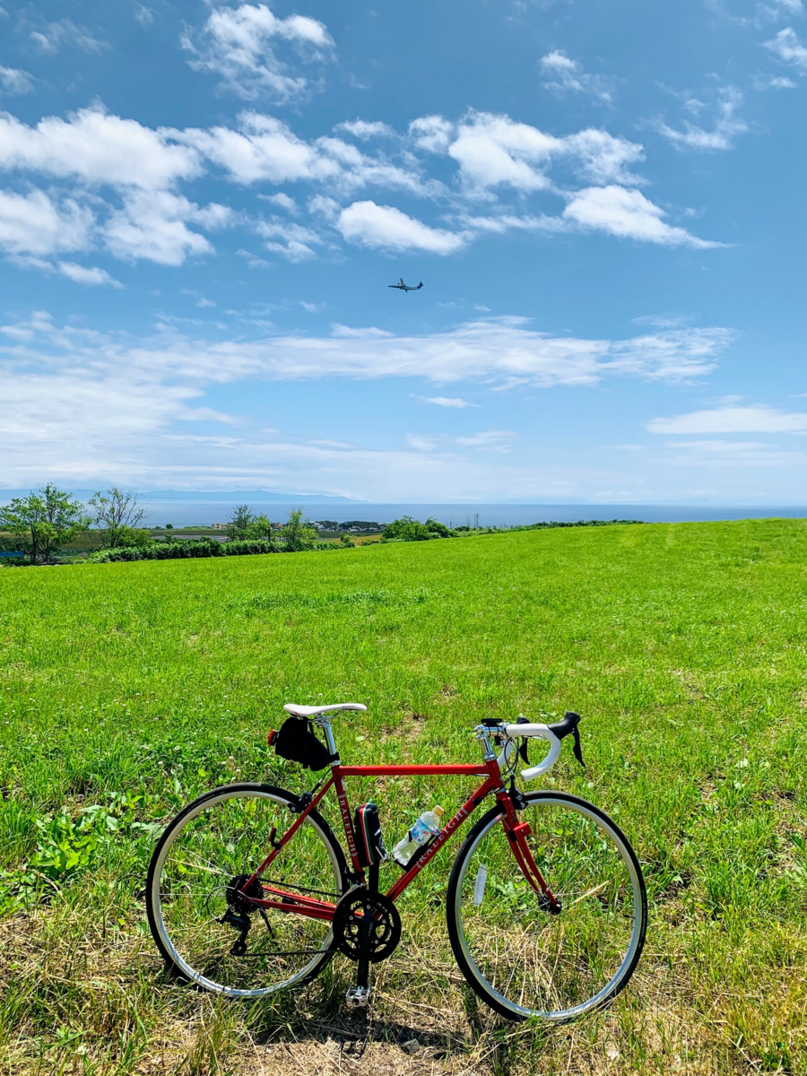 f:id:PikaCycling:20200729221026p:plain