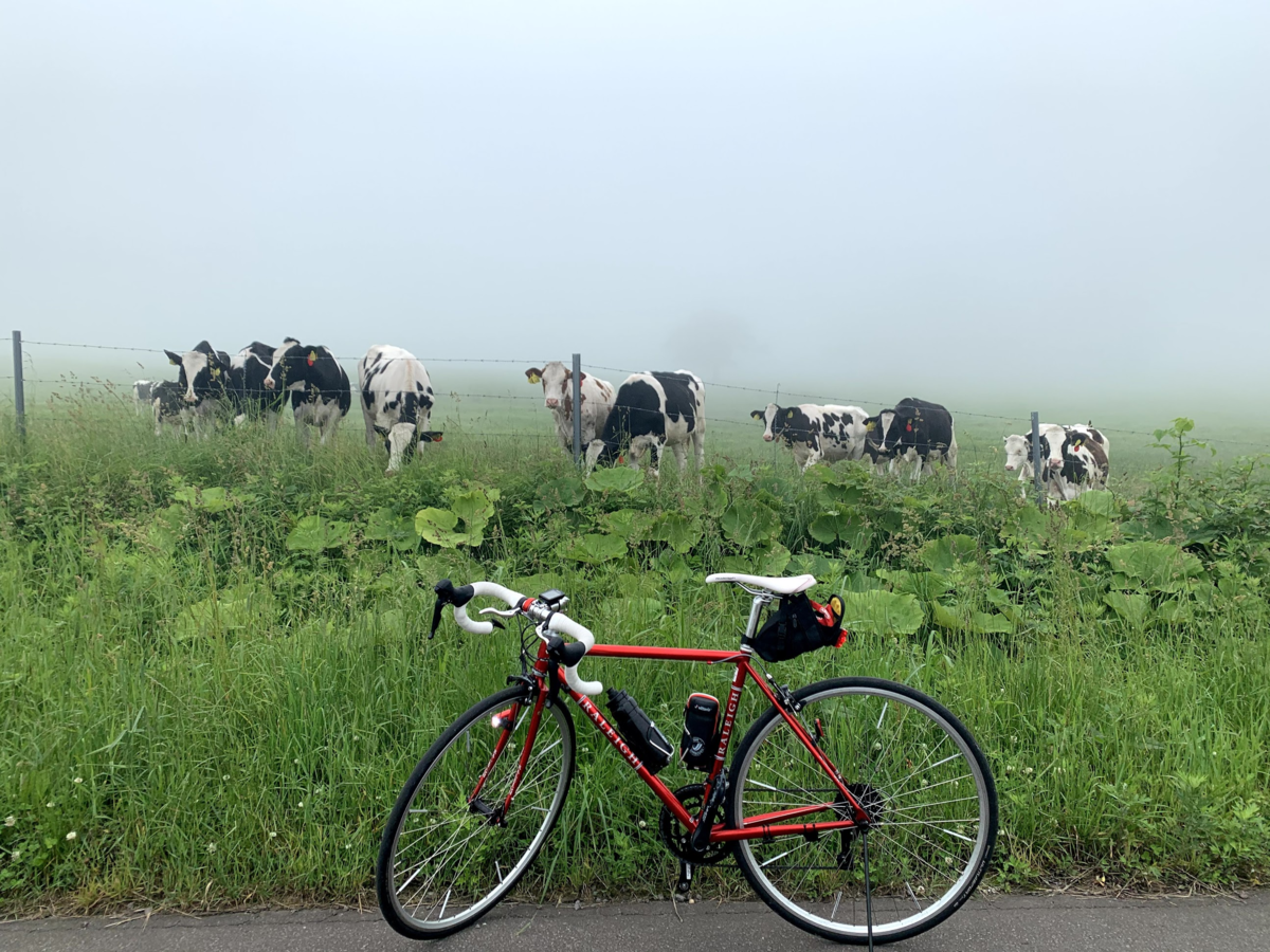 f:id:PikaCycling:20200729231723p:plain