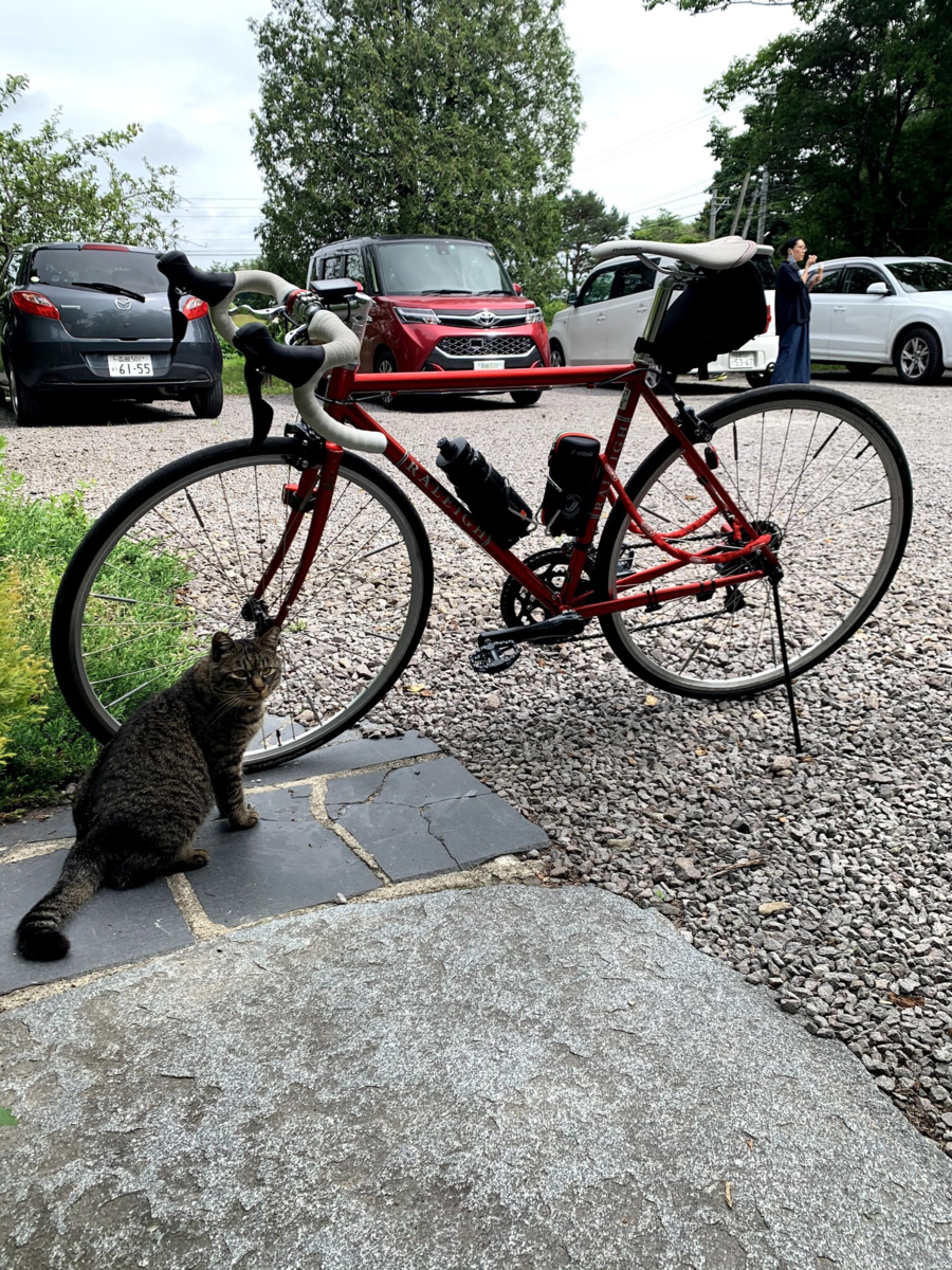 f:id:PikaCycling:20200729232139p:plain