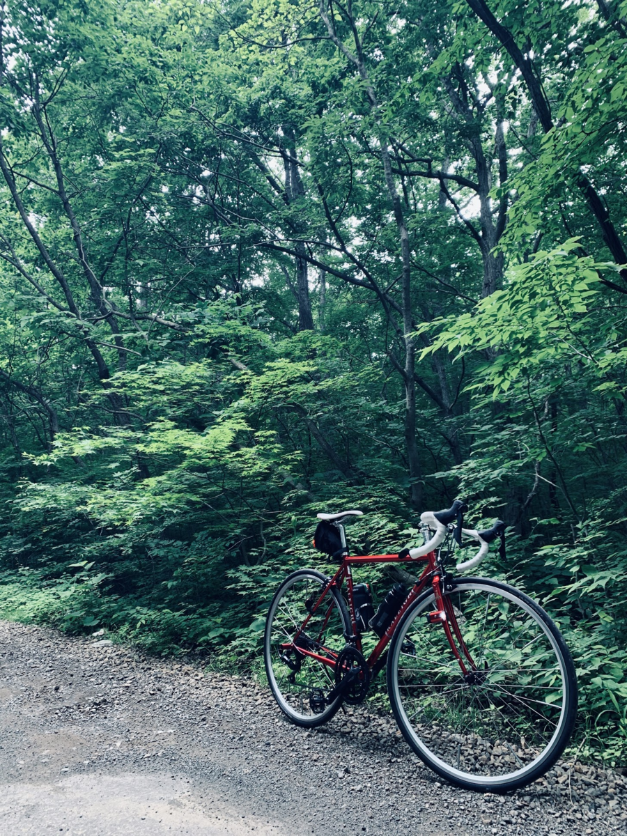 f:id:PikaCycling:20200729232234p:plain