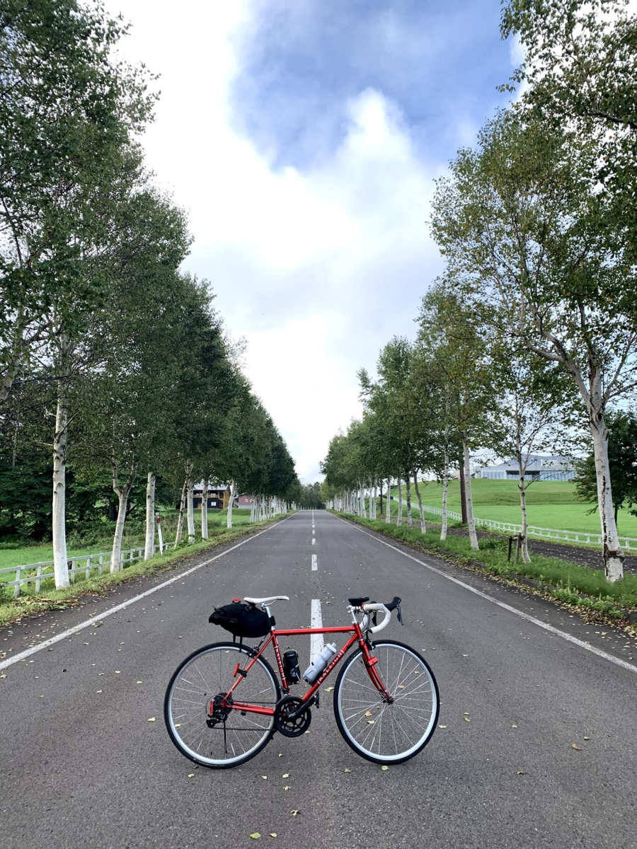 f:id:PikaCycling:20201030211730p:plain