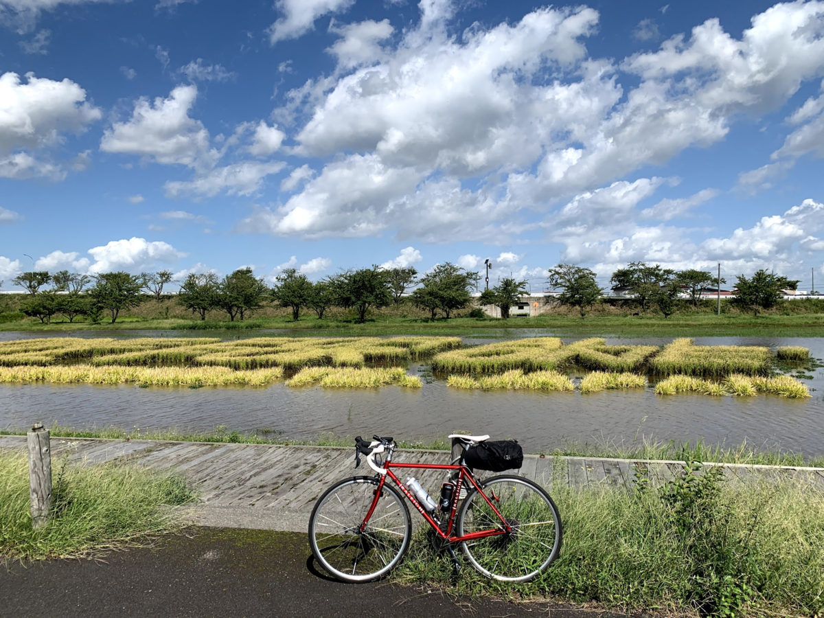 f:id:PikaCycling:20201109230431p:plain