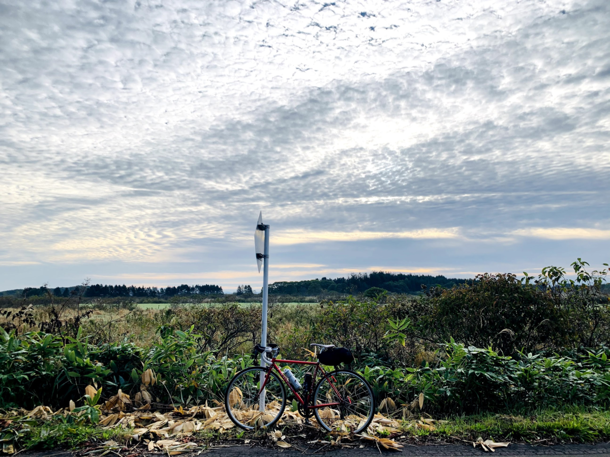 f:id:PikaCycling:20201205151048p:plain