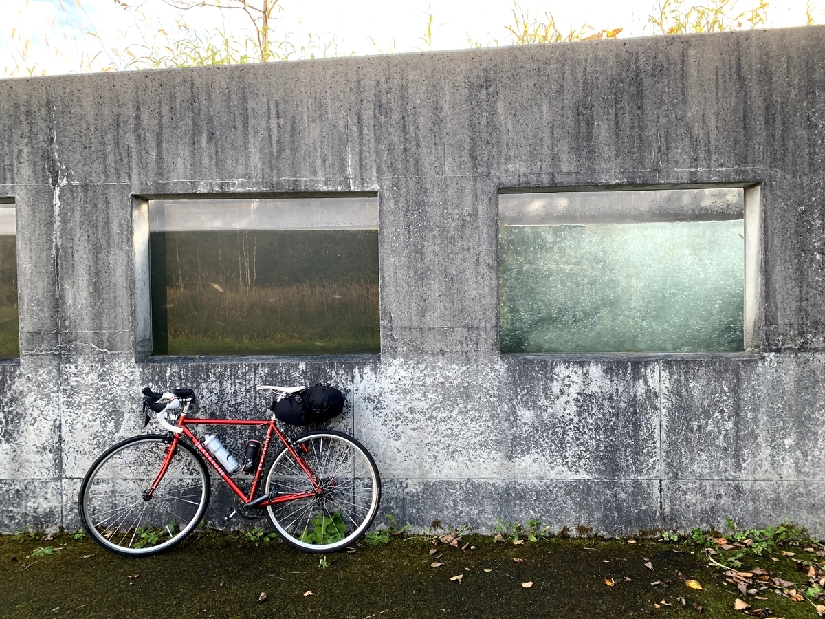 f:id:PikaCycling:20201205152238j:plain