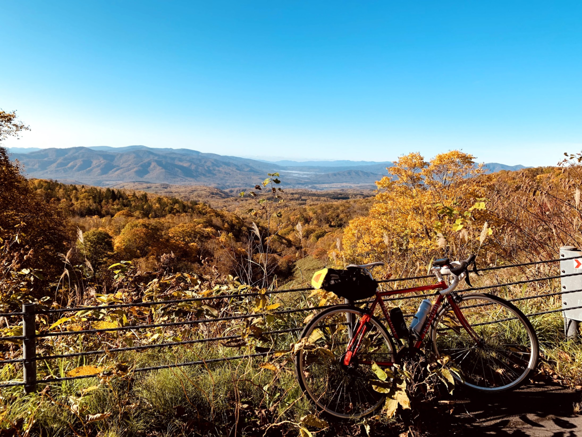 f:id:PikaCycling:20201218210421p:plain