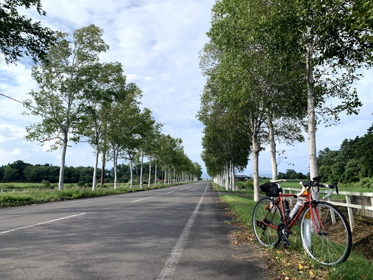 乙部崩落迂回路ライド - PikaCycling