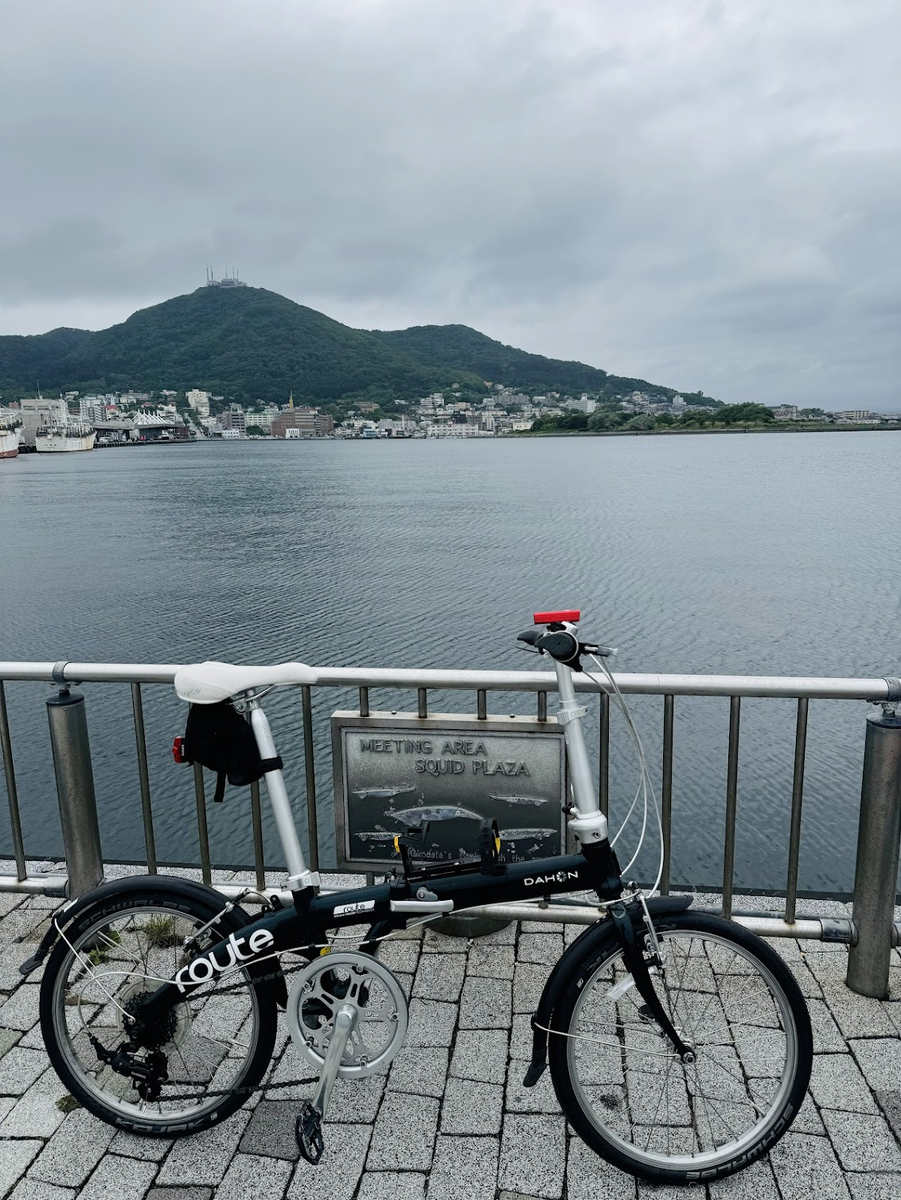 自転車用カゴ ダホンの人気商品・通販・価格比較 - 価格.com