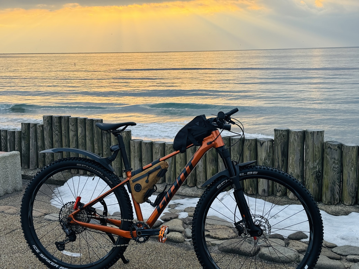 MKSの別注ペダル XC-III Bear trap pedal を購入 - PikaCycling