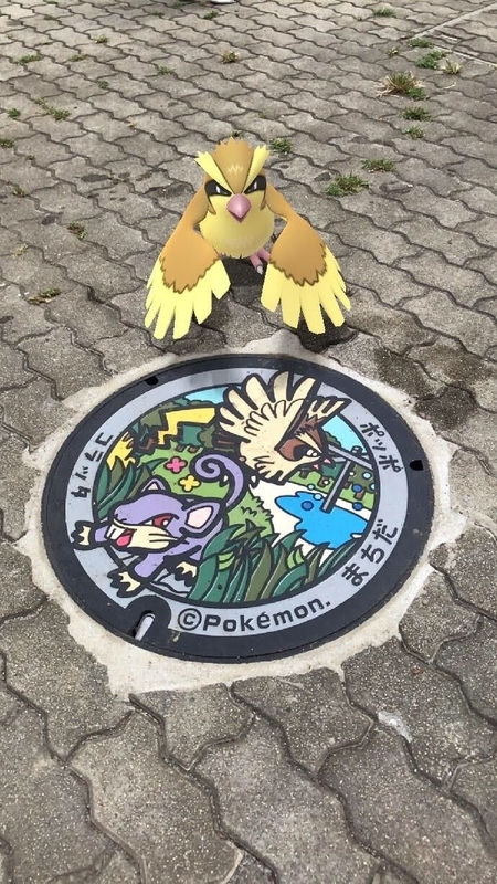 f:id:PikaKING:20201125231938j:plain