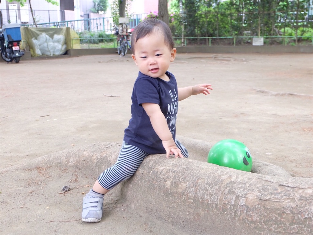 f:id:Pikky:20160507141545j:image