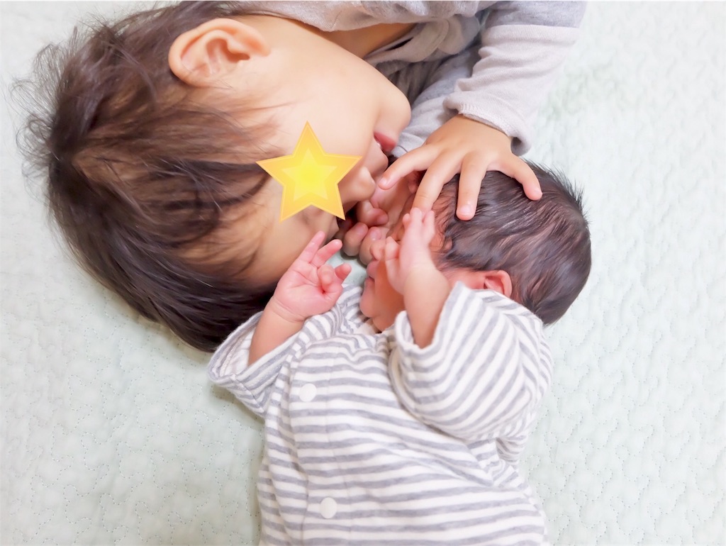 仲良し兄弟風写真集 可愛さ２倍の３歳 １歳 パパパッとパパ