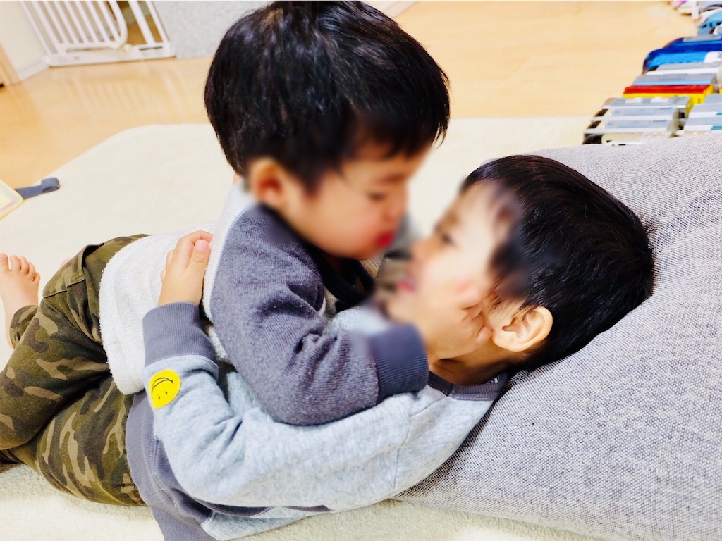 f:id:Pikky:20190216222356j:image