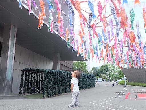 f:id:Pikky:20190502224155j:image