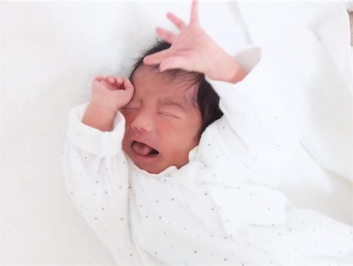 f:id:Pikky:20190816225546j:image f:id:Pikky:20190816225546j:image