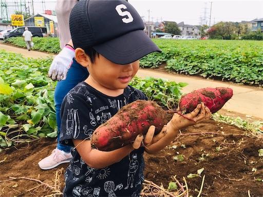 ５歳 ３歳と芋掘りに行ってみた 埼玉県川越市 山田園 パパパッとパパ