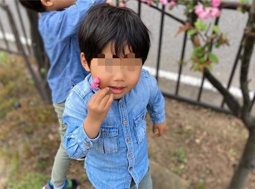 f:id:Pikky:20210516001142j:image