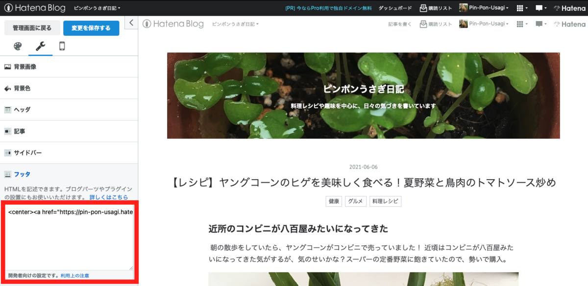 f:id:Pin-Pon-Usagi:20210620145953p:plain