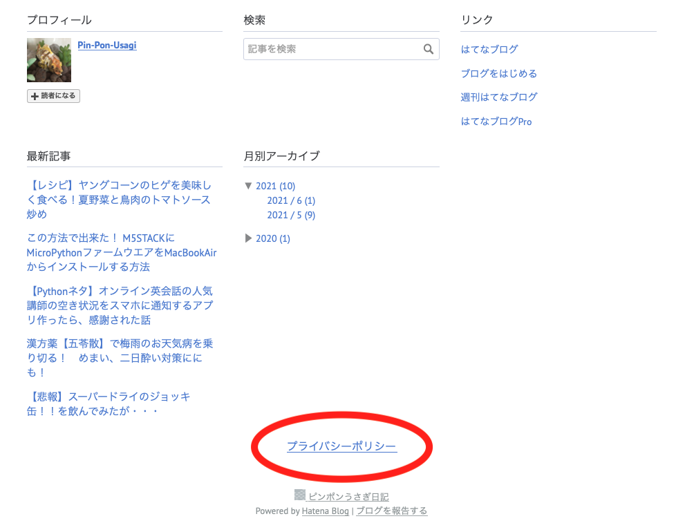f:id:Pin-Pon-Usagi:20210620151927p:plain