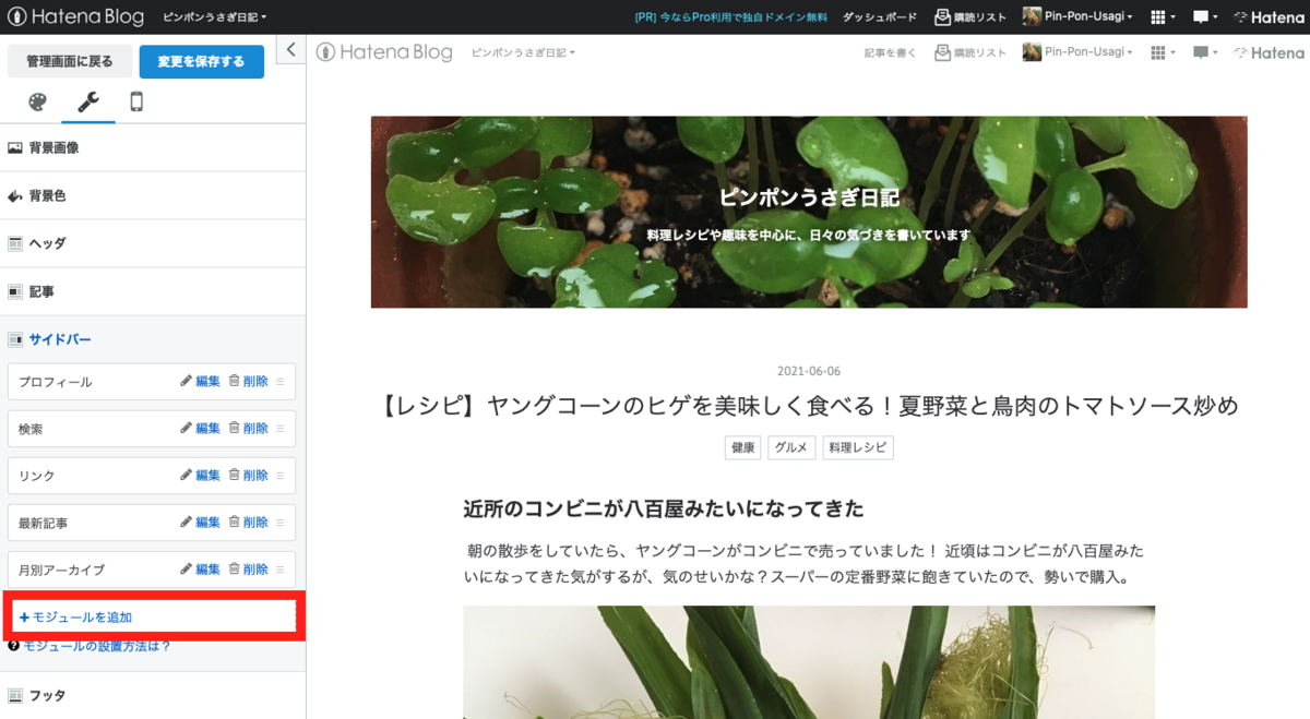 f:id:Pin-Pon-Usagi:20210620160221p:plain