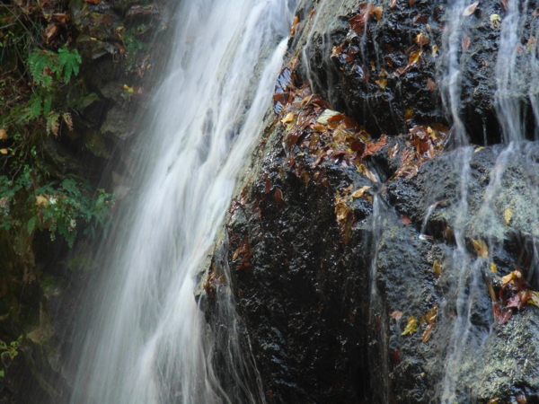 f:id:Pines:20111104131623j:image f:id:Pines:20111104131623j:image