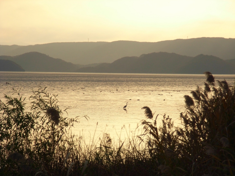 f:id:Pines:20111104154711j:image f:id:Pines:20111104154711j:image