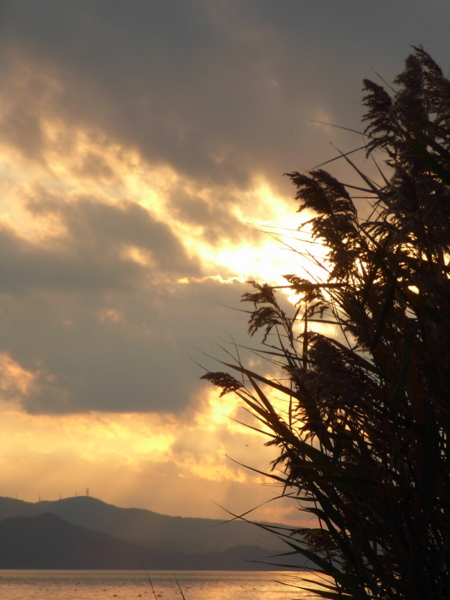 f:id:Pines:20111104161012j:image f:id:Pines:20111104161012j:image