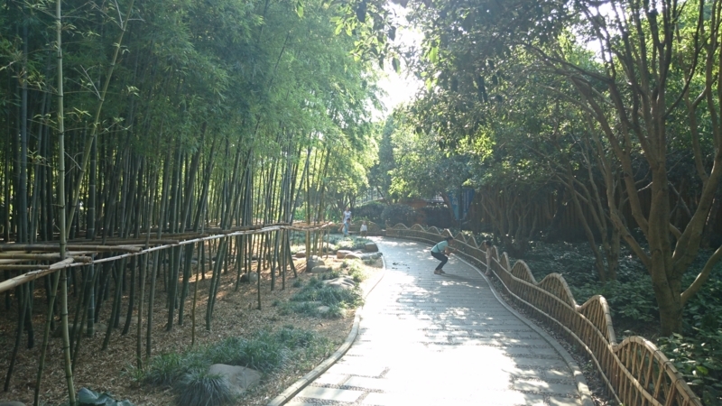 f:id:Pinguinus:20170812225651j:plain