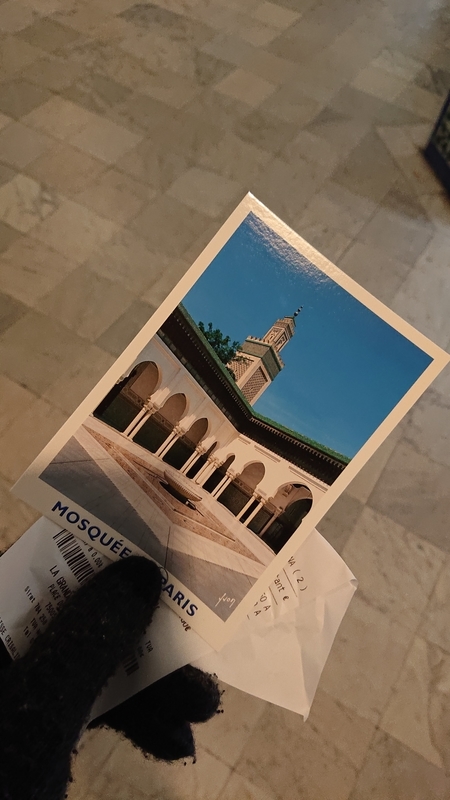 f:id:Pinguinus:20201014203207j:plain