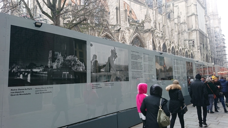 f:id:Pinguinus:20210110002600j:plain