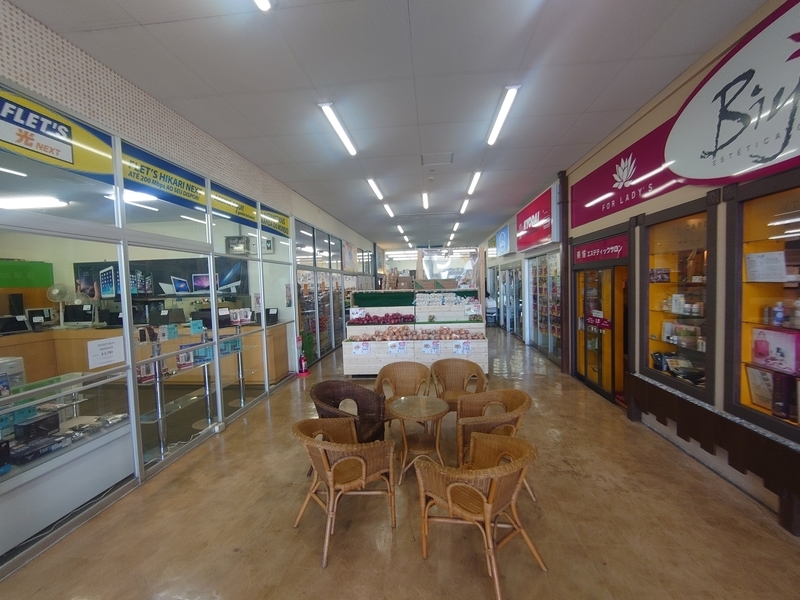 f:id:Pinguinus:20210815194411j:plain