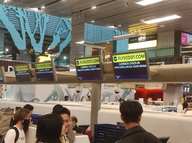 f:id:Pinguinus:20230402005705j:image