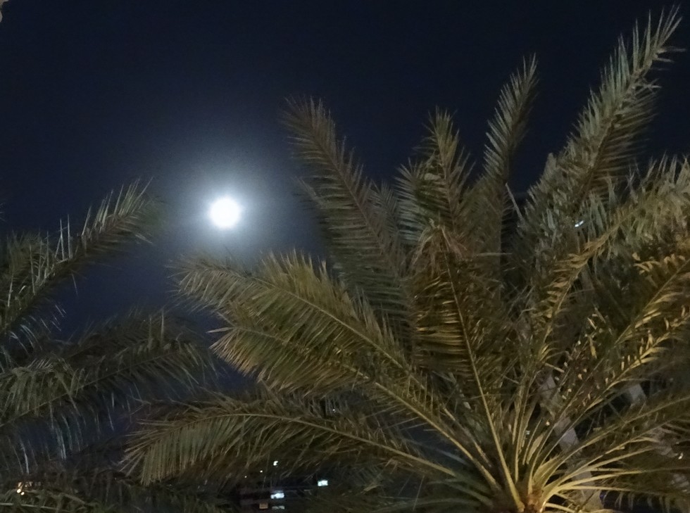 f:id:Pink-Supermoon:20210922074618j:plain