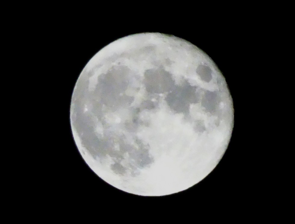 f:id:Pink-Supermoon:20210922075928j:plain
