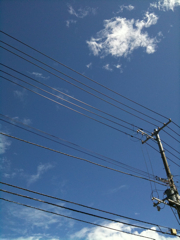 f:id:PinkCherry:20090902004318j:image f:id:PinkCherry:20090902004318j:image