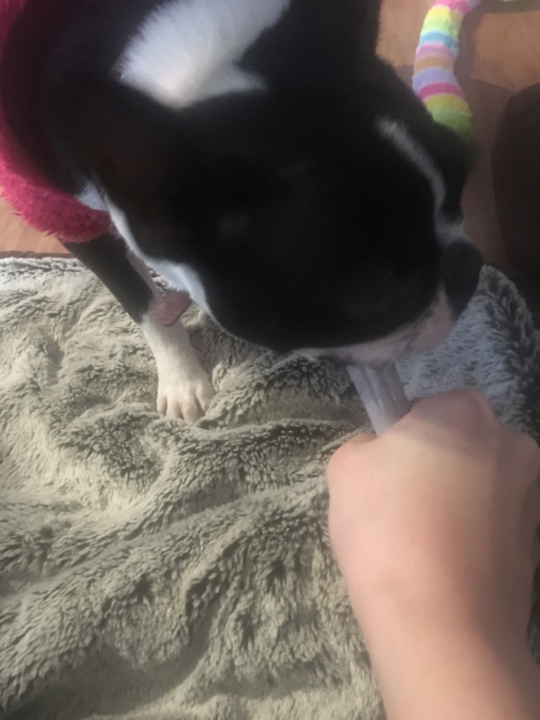 f:id:Pippa:20170206195103j:plain f:id:Pippa:20170206195103j:plain