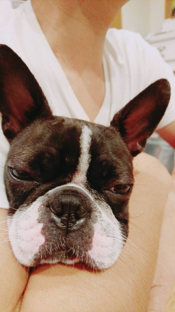 f:id:Pippa:20171011022445j:plain