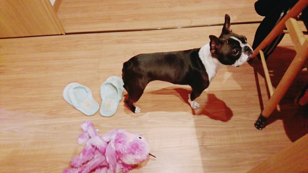 f:id:Pippa:20171011022542j:plain