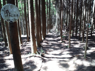 f:id:PiroshiBlog:20130428113815j:image