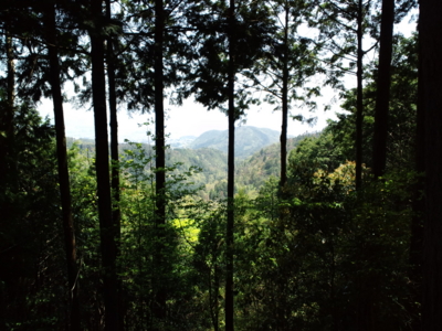 f:id:PiroshiBlog:20130428123122j:image