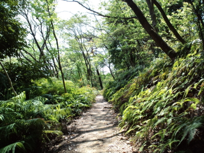f:id:PiroshiBlog:20130429105933j:image
