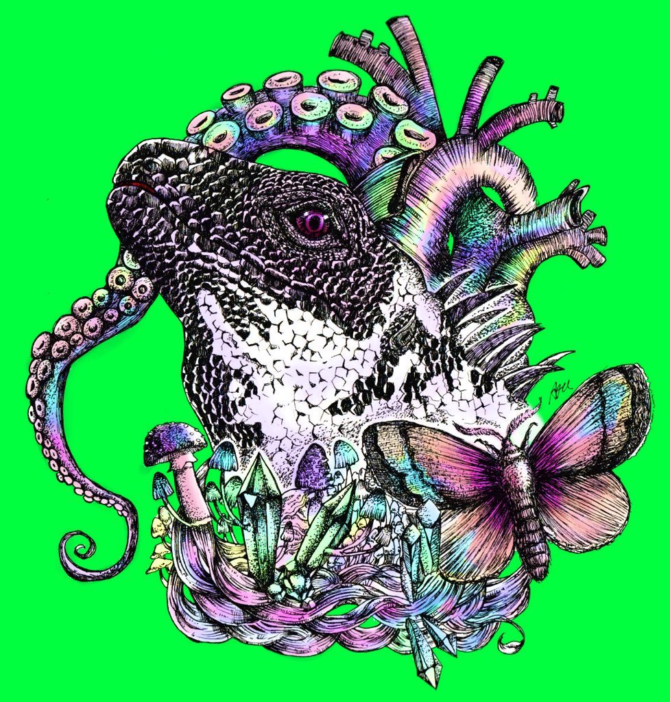 筆ガエル とは 筆ガエル