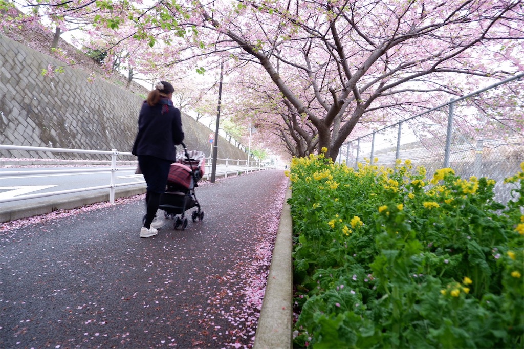 f:id:PiyoPiyoDiary:20200913175332j:image f:id:PiyoPiyoDiary:20200913175332j:image